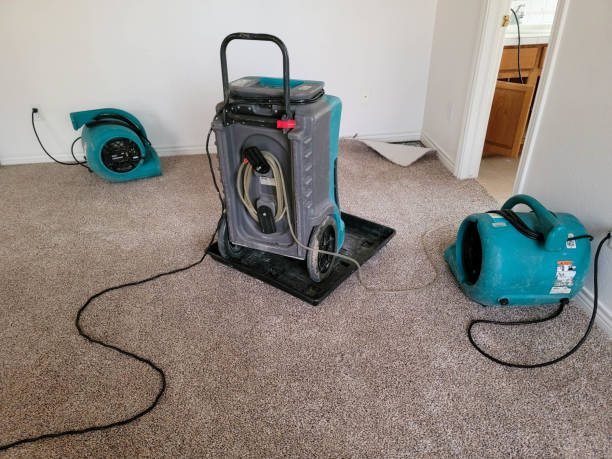 Best 24-hour water damage restoration  in Inverness, FL