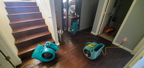Best Fire Damage Restoration  in Inverness, FL