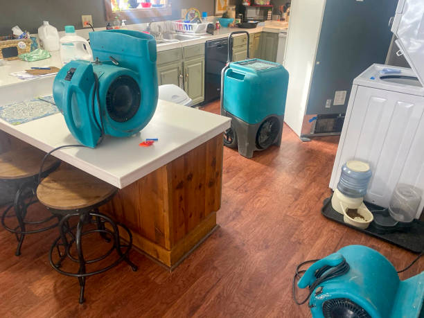 Best Water damage contractors near me  in Inverness, FL