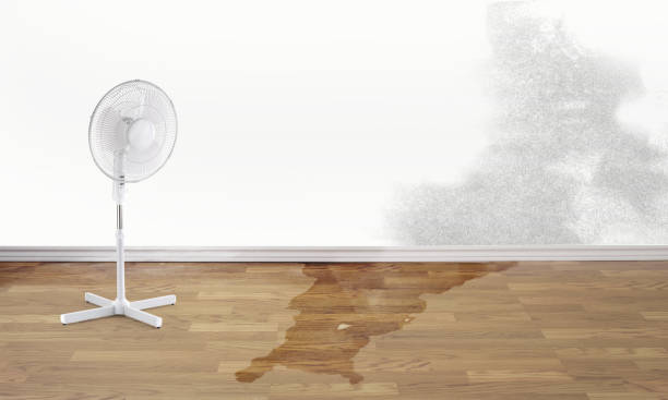 24/7 water damage repair in FL
