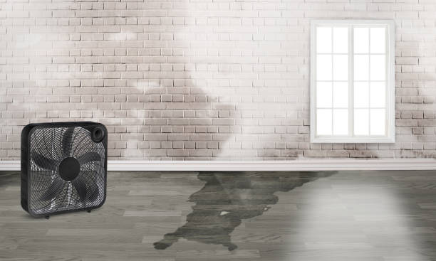 Best 24/7 water damage repair  in Inverness, FL