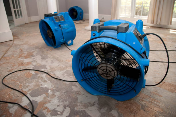 Best Residential water damage restoration  in Inverness, FL