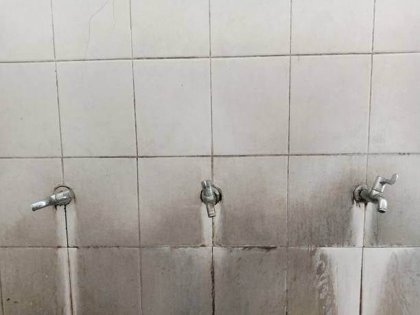 Best Ceiling water damage repair  in Inverness, FL