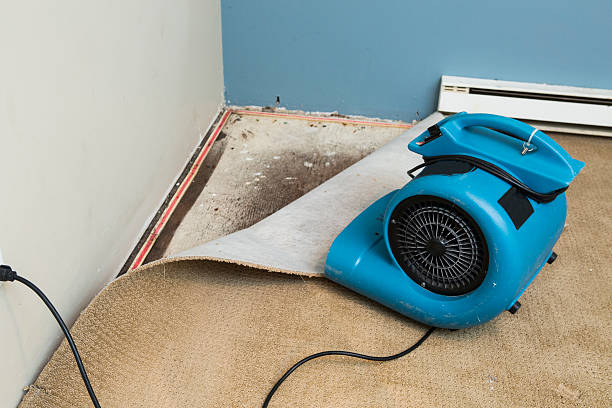 Best Water damage restoration cost  in Inverness, FL